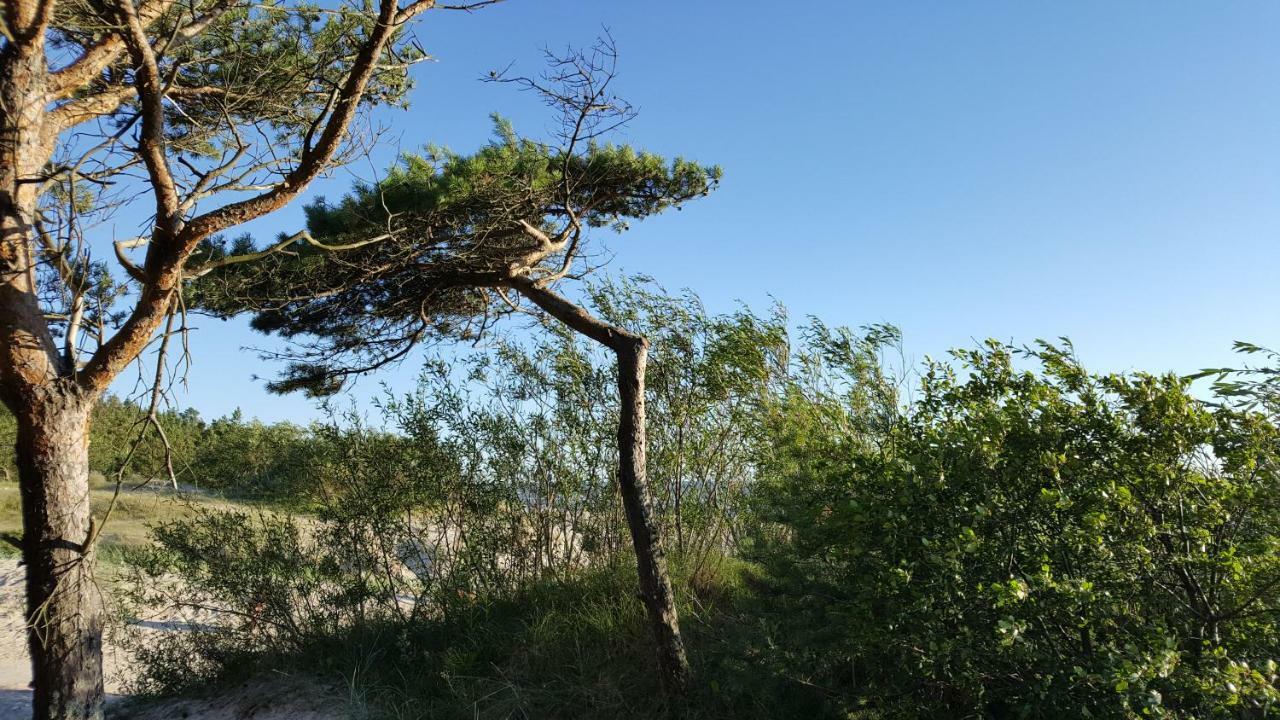 Vila Osupio Kiemelis Šventoji Exteriér fotografie